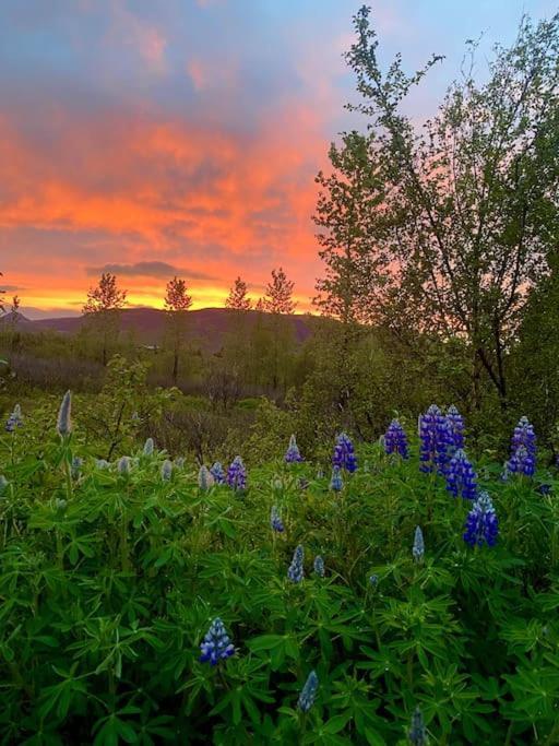 Luxury Cottage Located In The Golden Circle, Mountain View! ラウガーバットン エクステリア 写真